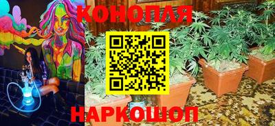 прущие крисы Гусь-Хрустальный