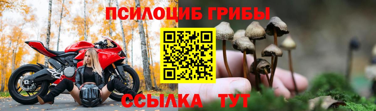 Псилоцибиновые грибы мицелий  Галлюциногенные грибы Psilocybine cubensis  Тихвин  Вход с VPN 