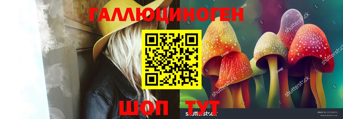 Псилоцибиновые грибы мухоморы Тихвин